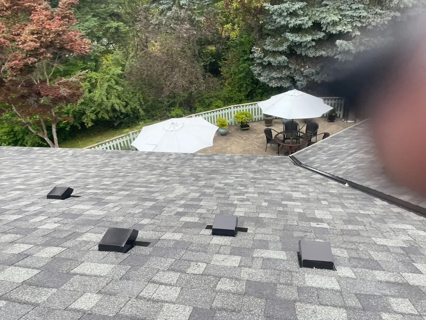 Finished architectural shingle roof with new vents overlooking the back garden